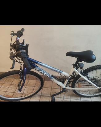 bicicletta donna