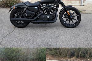 Harley Davidson 883 iron