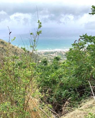 Rustico/Casale/Corte Cefalù [BAI201 - 07/2026VRG]
