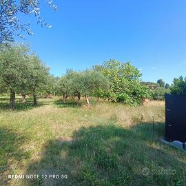 TERRENO EDIFICABILE PER SINGOLA VILLETTA