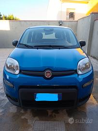 Fiat Panda 1.0 70 cv ibrida