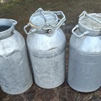 Contenitori 50 litri latte