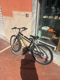 Bici 24