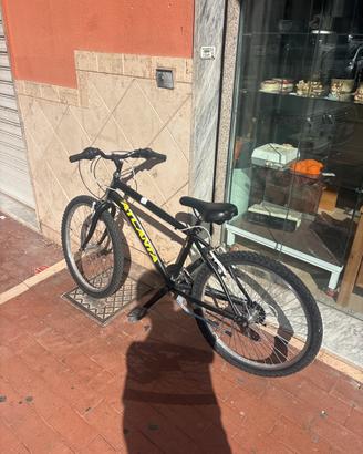 Bici 24