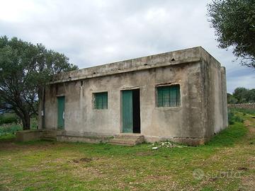 Terreno agricolo con rustico e ovile