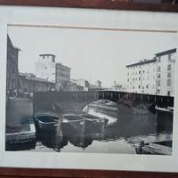 Quadretti legno Livorno