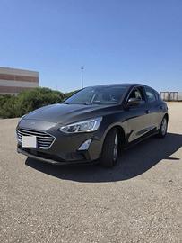 Ford focus business 120CV 2019
