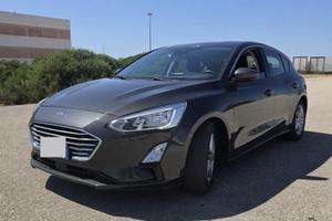 Ford focus business 120CV 2019