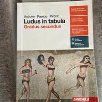 Ludus in tabula