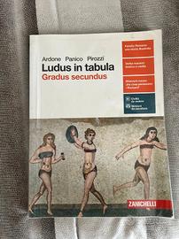 Ludus in tabula