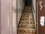 Immagine 7