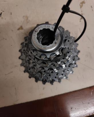 cassetta campagnolo 10 velocita