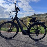 Pegasus Premio EVO 10 L E-bike Trekking Come nuovo