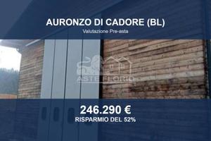 Immobile in asta di 1146 m² a Auronzo di Cadore