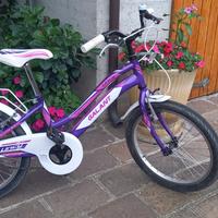 Bicicletta bambina 20