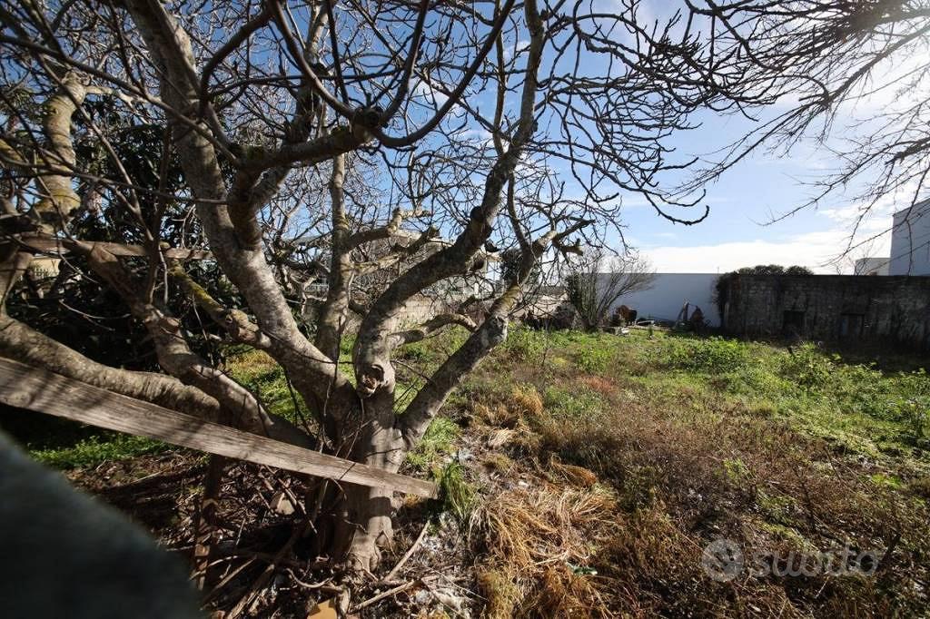 Terreno di 1000 m² a Mesagne - Vista 4