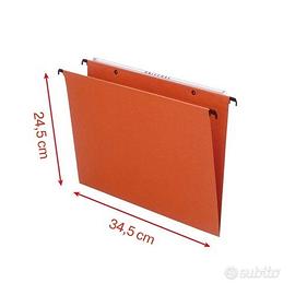 Esselte Orgarex (VISICONTROL) 330-V - 100 Cartelle