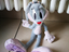 Immagine 4