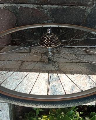 ruote Campagnolo 8v