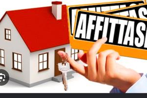 Bilocale ad Affi da Settembre a Giugno