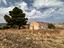 Immagine 12