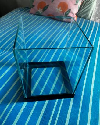 Acquario Nano Cube 14 Litri in Vetro