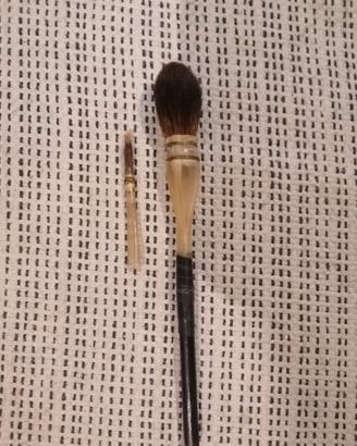 Coppia Pennelli Professionali pelo vaio