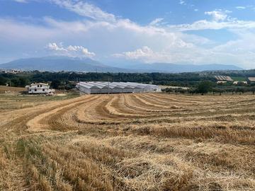 Terreno a Cepagatti
