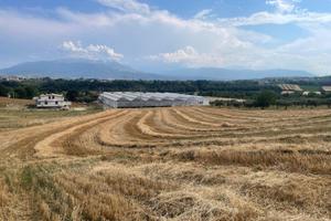 Terreno a Cepagatti