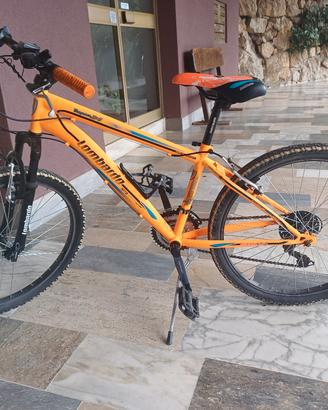 bici mountan bike lombardo tropea 24 per bambini