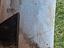 Immagine 12