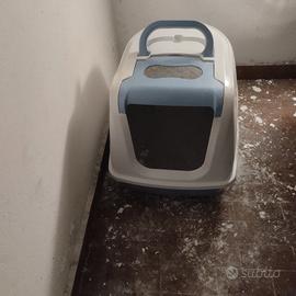 lettiera per gatti