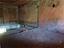 Immagine 14