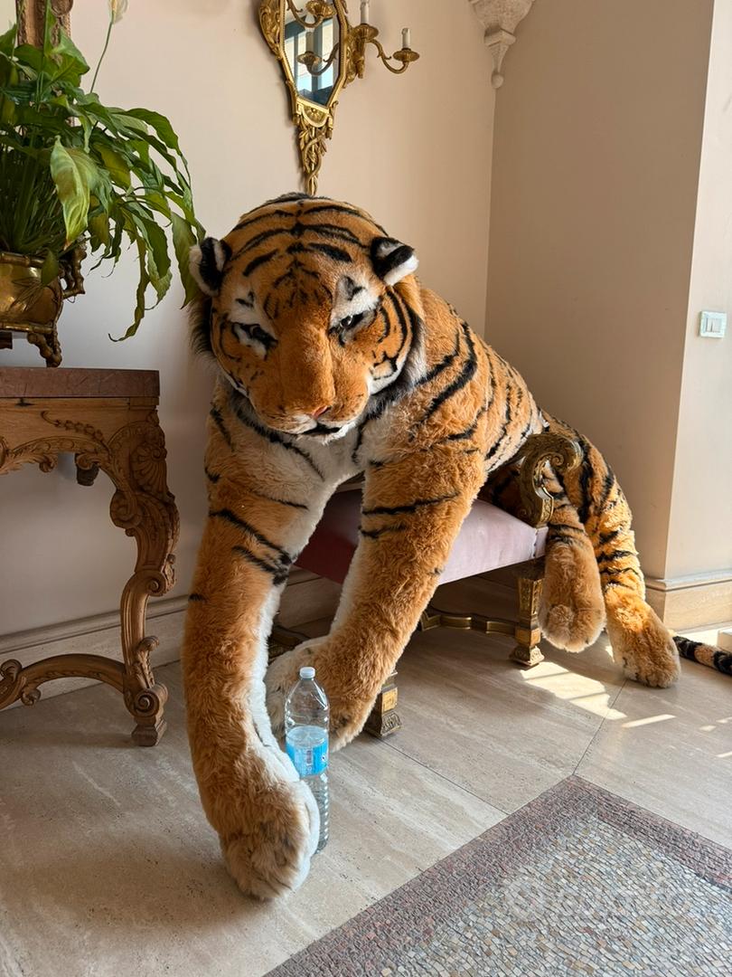 Tigre Ikea Giocattoli Peluche Peluche Tigre Tutto Per I Bambini In Vendita  A Roma
