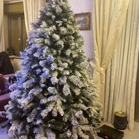 XONE Albero Milton Innevato