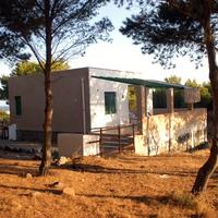 USTICA (PA) Villino in pineta vista mare