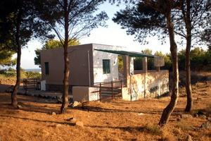 USTICA (PA) Villino in pineta vista mare