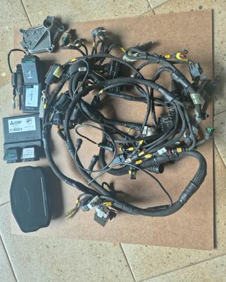 ELETTRONICA DUCATI PANIGALE 1199R 2013