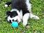Immagine 4