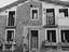 Immagine 7
