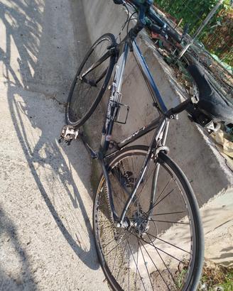 bicicletta ibrida 