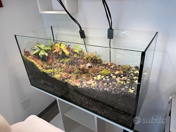Terrari Piante carnivore