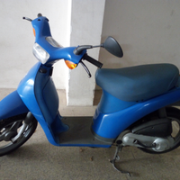 Piaggio free 50 libretto verde
