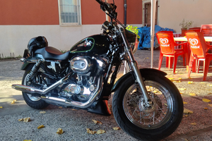 Harley Davidson 1200custom