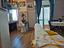 Immagine 29
