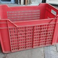 CASSETTA RACCOLTA FRUTTA