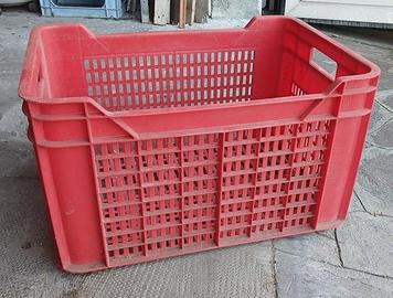 CASSETTA RACCOLTA FRUTTA