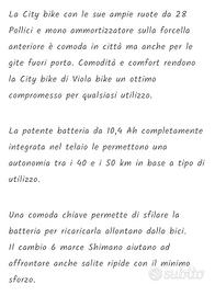 bicicletta Elettrica 