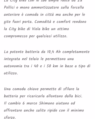 bicicletta Elettrica 