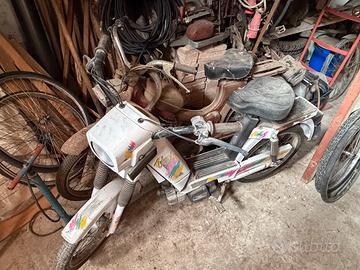 Motorini vari